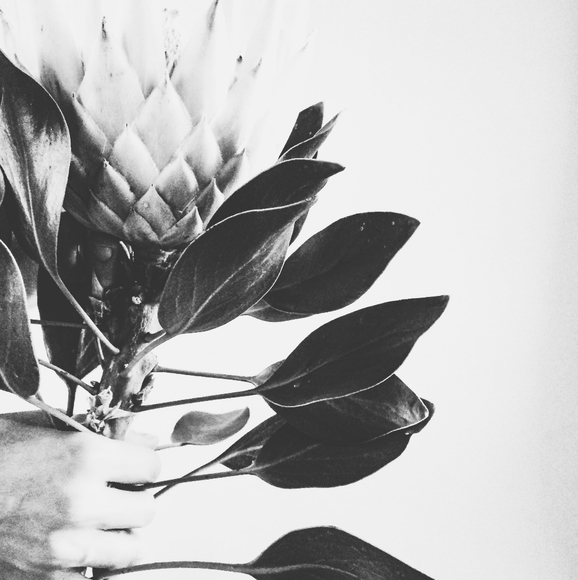 Organic Natural Exfoliator | SOFT Sweet Coconut Scrub 3oz - Picture 3 of 9